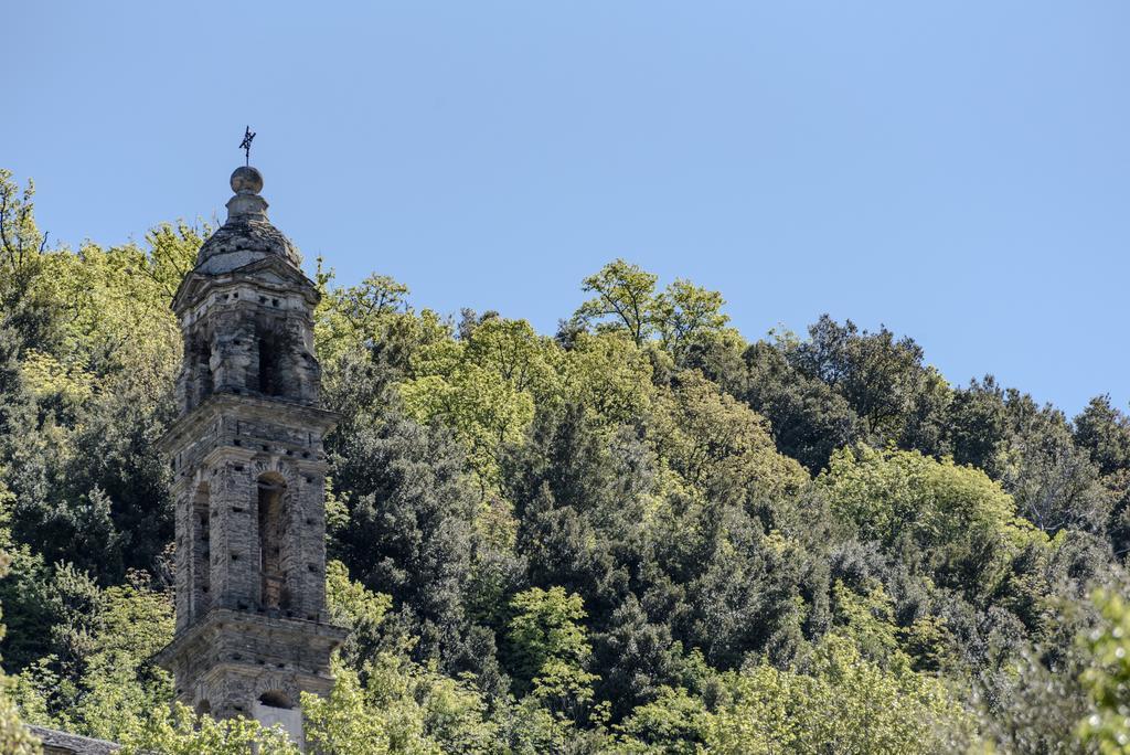 Bed & Breakfast D'hotes La Marlotte