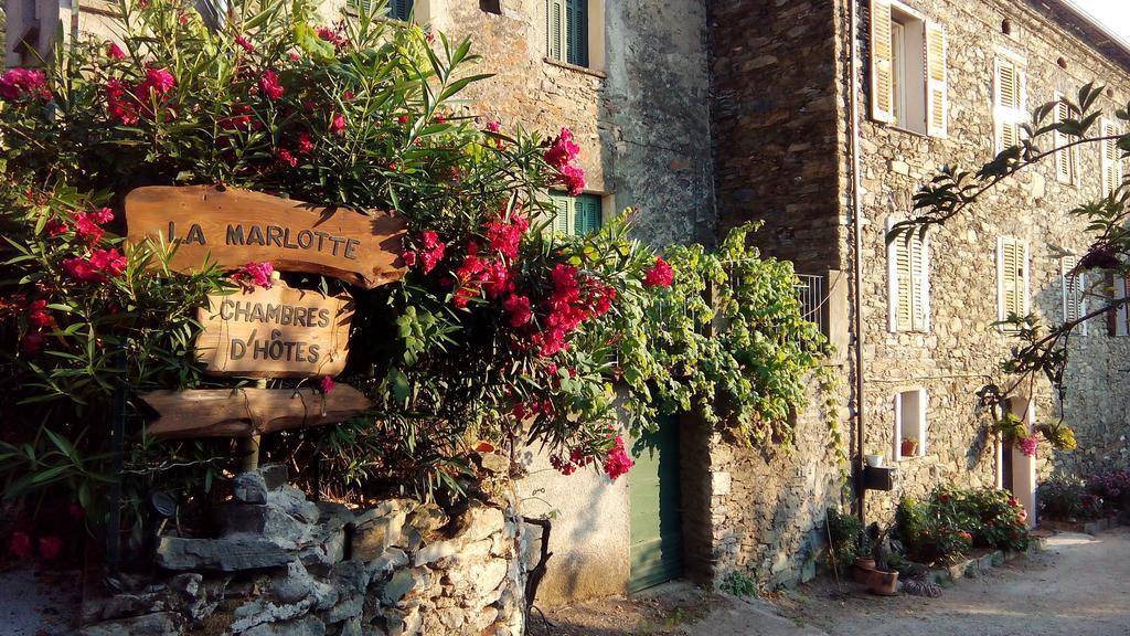 Bed & Breakfast D'hotes La Marlotte