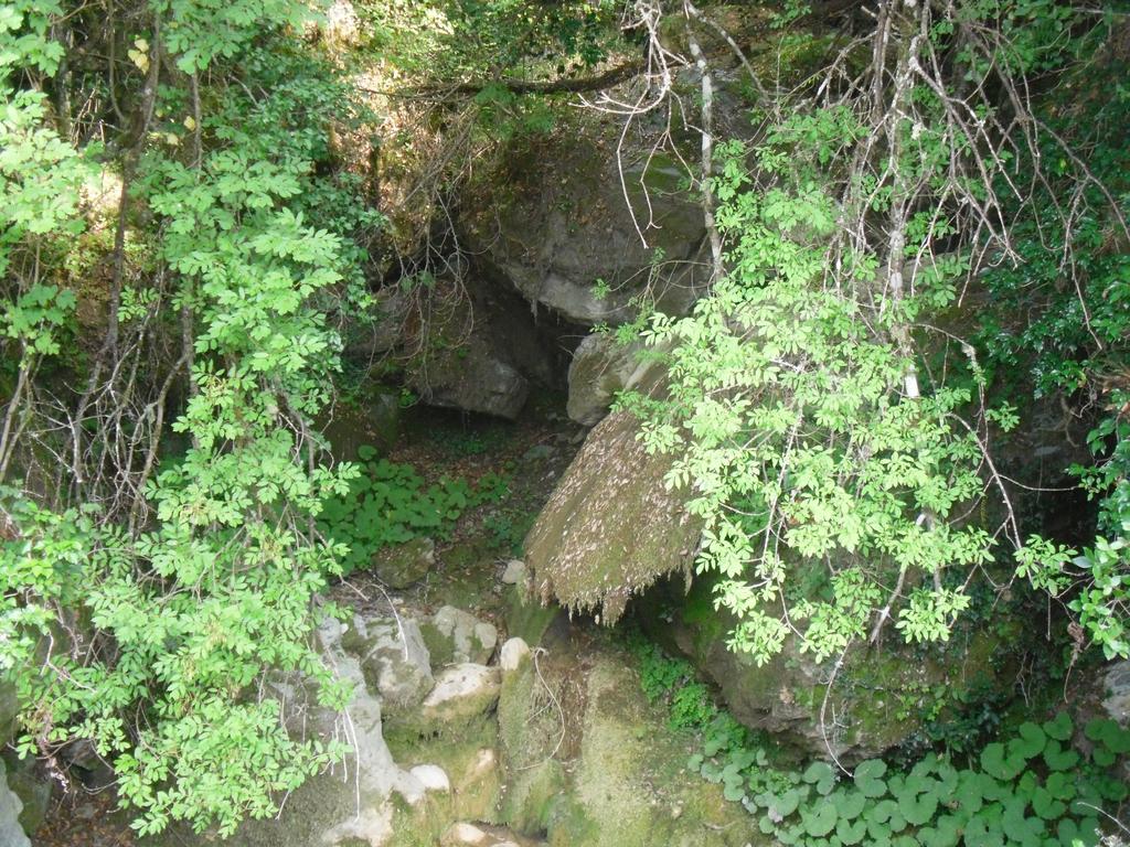 D'hôtes La Marlotte